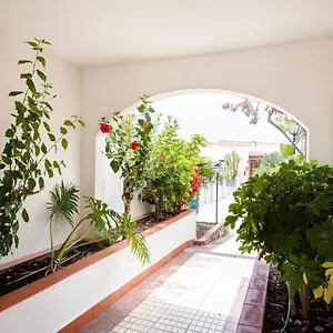 1 Bedroom For 4 People In Tenerife Costa Adeje (Tenerife)